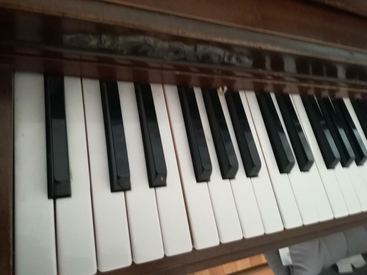 The Piano Apartment Zavalatica Exterior foto